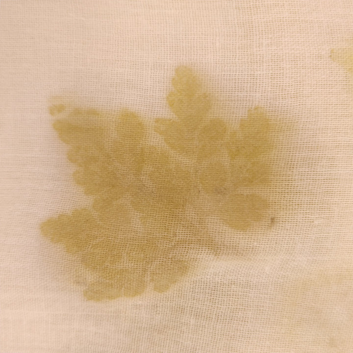 feuilles géranium sauvage imprimé